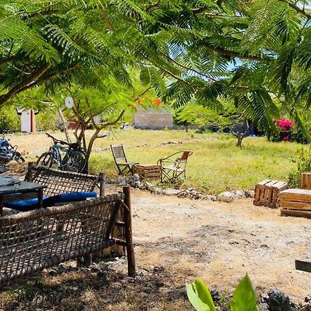 Habibis Bottle House Bed & Breakfast Nungwi Exterior photo