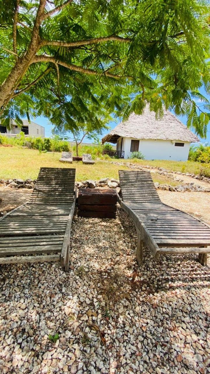Habibis Bottle House Bed & Breakfast Nungwi Exterior photo