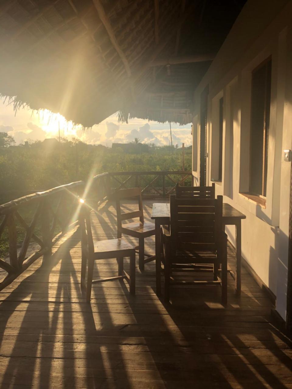 Habibis Bottle House Bed & Breakfast Nungwi Exterior photo